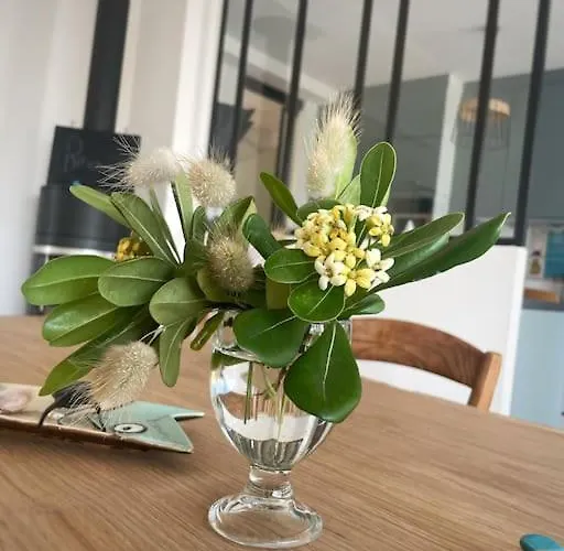 Cosy à Deux Pas De La - Classée 3 étoiles Les Sables-dʼOlonne